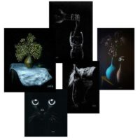 Exposition - et la lumière fut