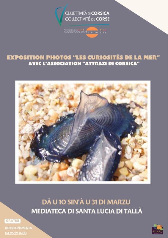 Exposition photos « Les curiosités de la Mer » avec l’association « Attrazi di Corsica » - Mediateca territuriale di Santa Lucia di Tallà