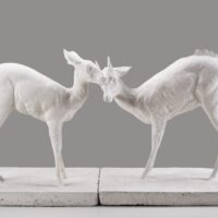 L'état sauvage : L'animal dans les collections du MAMCS et du Musée Zoologique