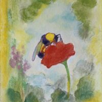 L'île aux mouches : Guillaume Pinard