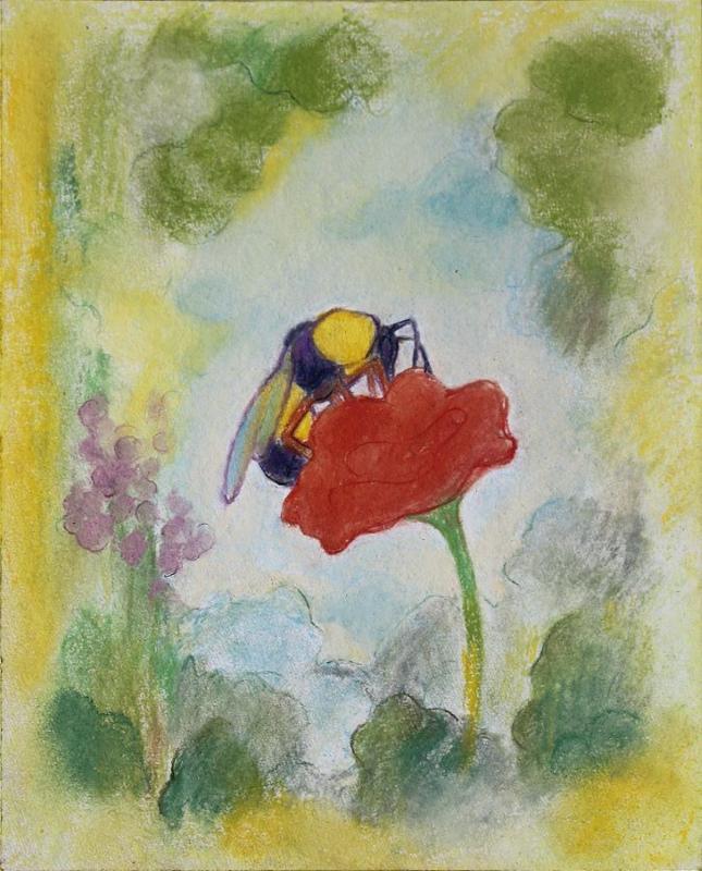 L’île aux mouches : Guillaume Pinard