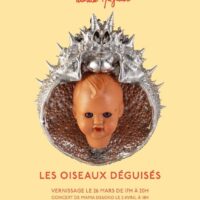 Les Oiseaux déguisés