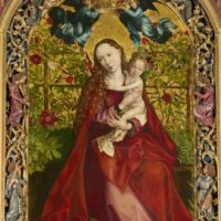 Martin Schongauer, Le bel immortel