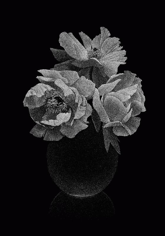 Pierre-Joseph Redouté, Thilo Westermann : Roses & Pivoines