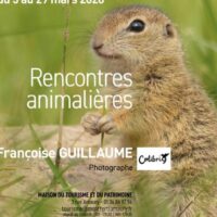 Rencontres animalières