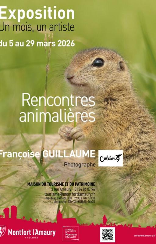 Rencontres animalières
