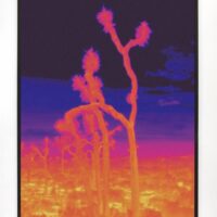 SMITH, Ici grand ouvert