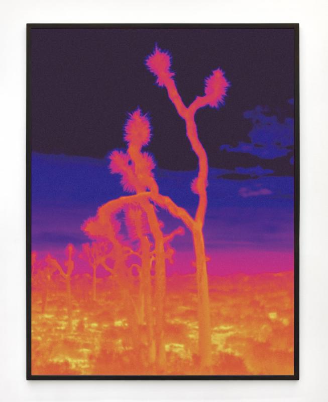 SMITH, Ici grand ouvert