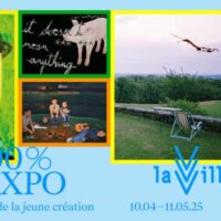 100% L'Expo : un panorama de la jeune création
