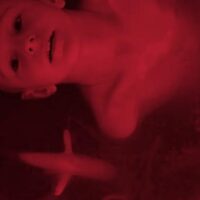 Camille Henrot : In the Veins