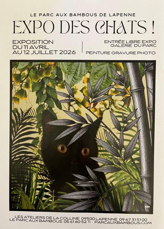 EXPO DES CHATS