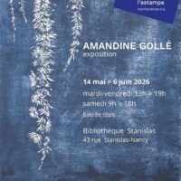 Exposition - Amandine Gollé