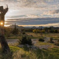 Exposition Art Alpilles- Ombres et Eclats