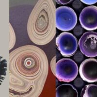Exposition Art’cologie – Galerie Julio Gonzalez