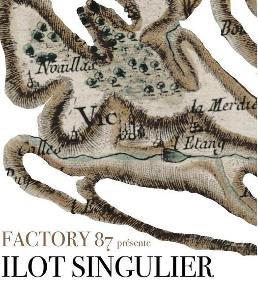 Exposition : Ilôt Singulier du Collectif Factory 87