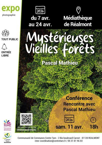 Exposition « Mystérieuses Vieilles forêts »