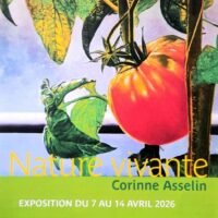 Exposition Nature vivante