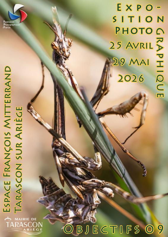 Exposition : « Photo »