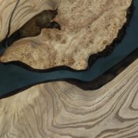 Exposition : Visions d'arbre