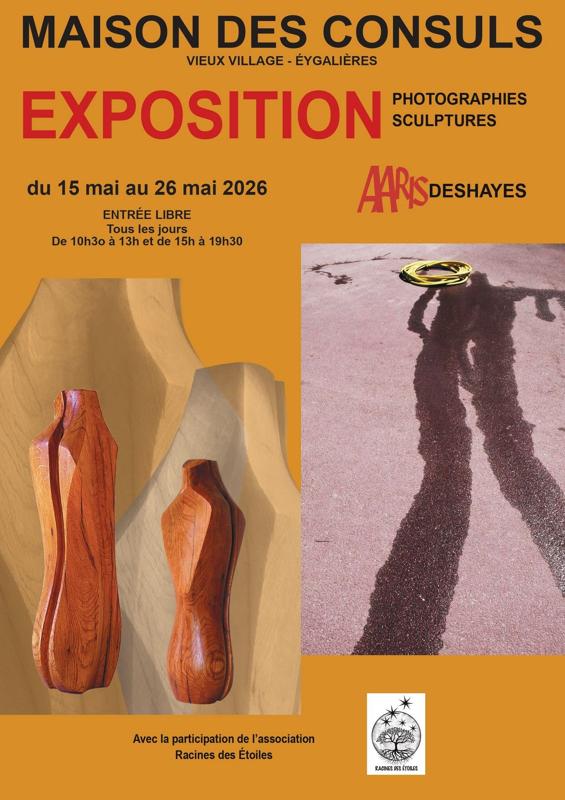 Exposition d'Aaris Deshayes