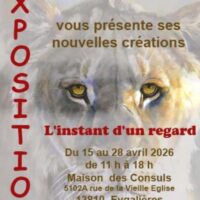 Exposition de Sylvie Ajacques : l'instant d'un regard