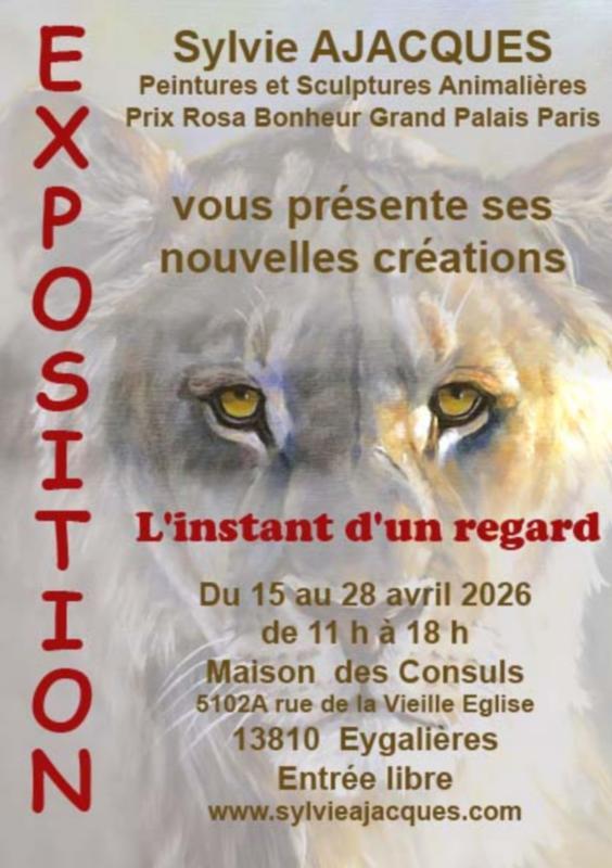 Exposition de Sylvie Ajacques : l'instant d'un regard