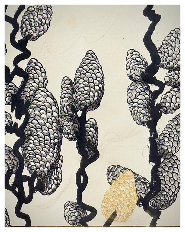 Exposition de l'artiste Clotilde Cazamajour