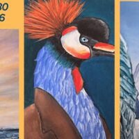 Exposition de peintures par Delphine Mazilly- Bligny sur Ouche