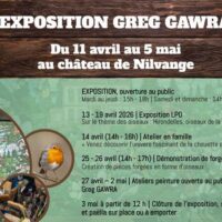 Exposition drôles d'oiseaux de Greg Gawra