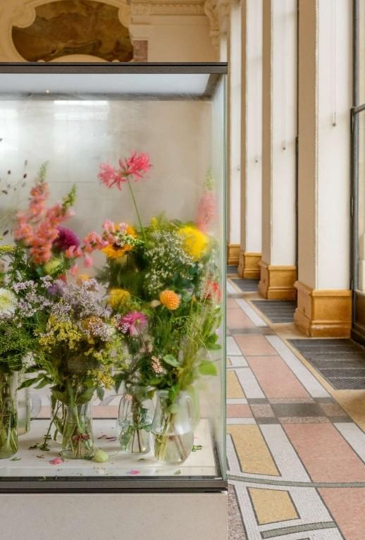 Jesse Darling, Les Ambassadeurs