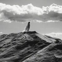 Julianknxx : In Search of Incredible