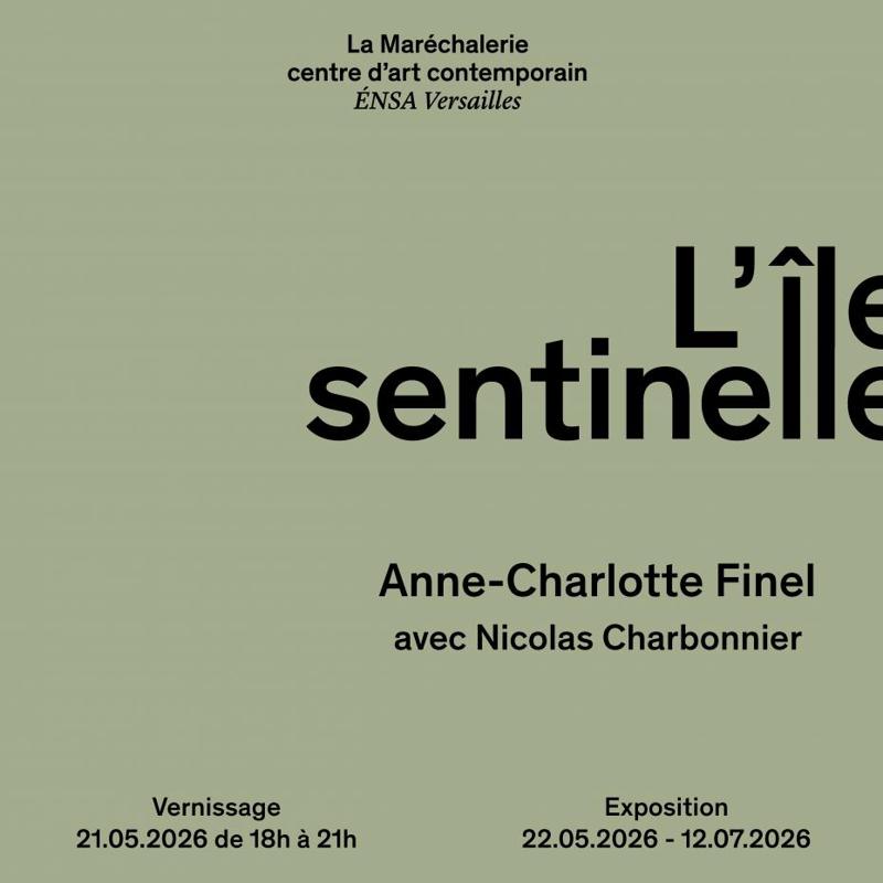 « L’île sentinelle » d’Anne-Charlotte Finel avec Nicolas Charbonnier