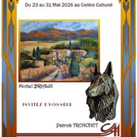 41ème Salon Artistique National des Aix d'Angillon