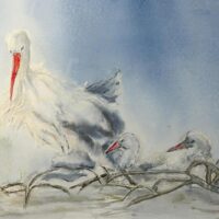 Exposition - Aqua & Oracles