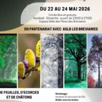 Exposition Aux arbres ! de feuilles d’écorces et de châtons