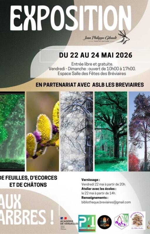 Exposition Aux arbres ! de feuilles d’écorces et de châtons