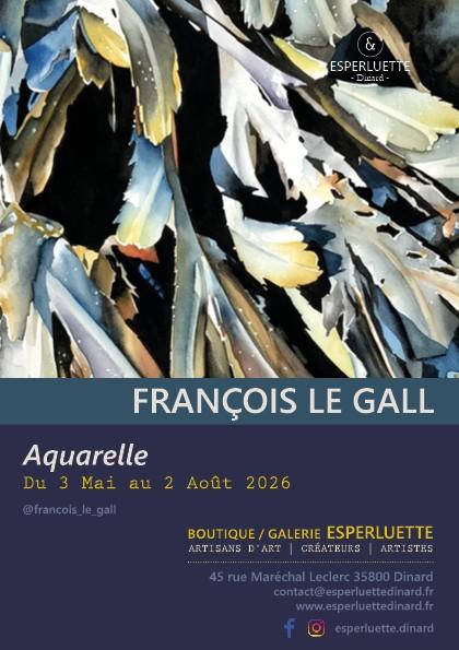 Exposition Galerie Esperluette - François le Gall