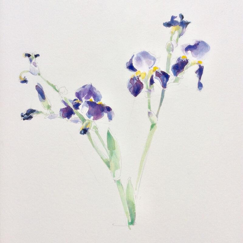 Exposition - Peintures & Dessins de Marie-Sophie Méjan