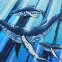 Exposition- Voyages aux terres Australes à bord de l'astrolabe