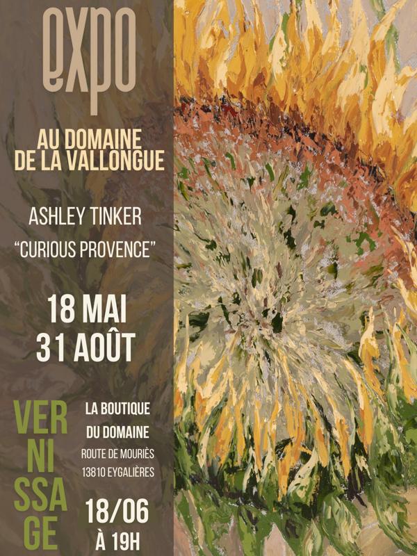 Exposition au Domaine de la Vallongue : Ashley Tinker