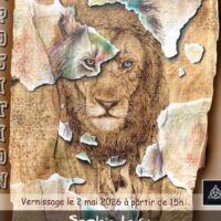 Exposition de Sophie Irvin