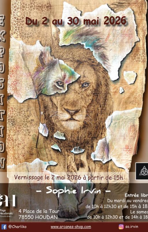 Exposition de Sophie Irvin