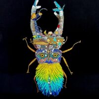 Expositions d'art singulier