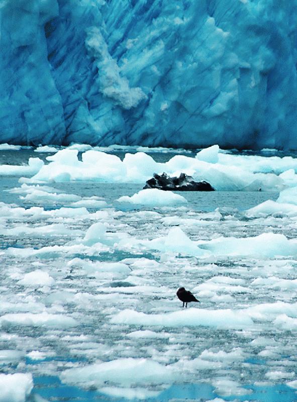 Glaciers, Éloge des hautes lumières dans un monde qui craque : Nathanael de Lachaise