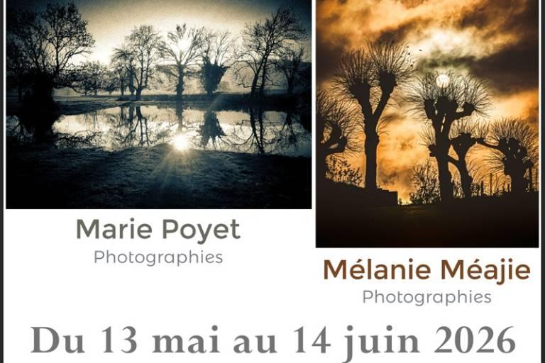 Musée de la faïence : Exposition sculptures et photographies