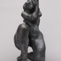 Roger Plin