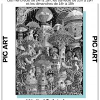 Saison d'expositions - Pic'Art