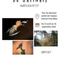 Âmes sauvages du Gâtinais