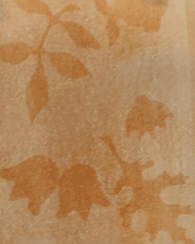Atelier de pratique artistique | Anthotype fantôme