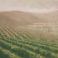 Au coeur de la vigne